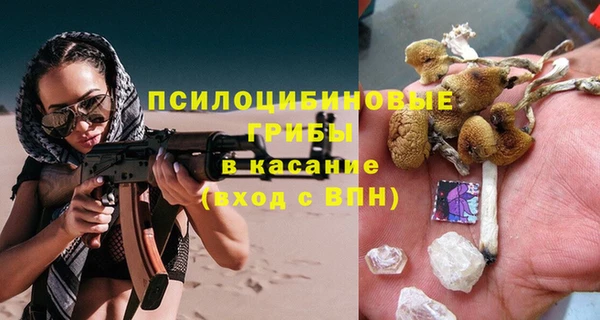 герыч Бронницы
