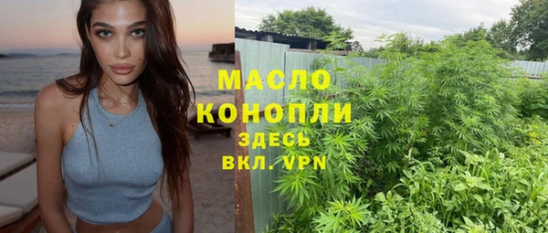 2c-b Бородино