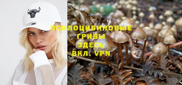 гашиш Богородск