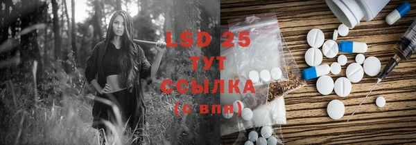2c-b Бородино