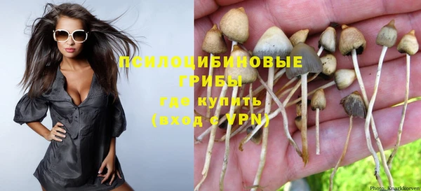 стаф Ступино