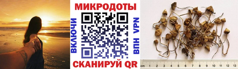 Галлюциногенные грибы Psilocybe  закладки  Миллерово 
